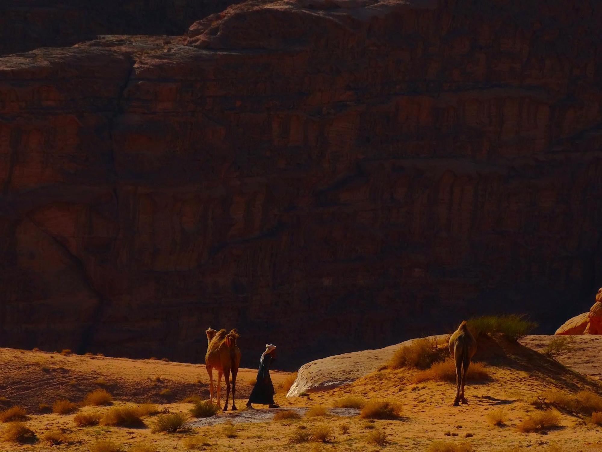 Wadi Rum View Camp Exterior foto